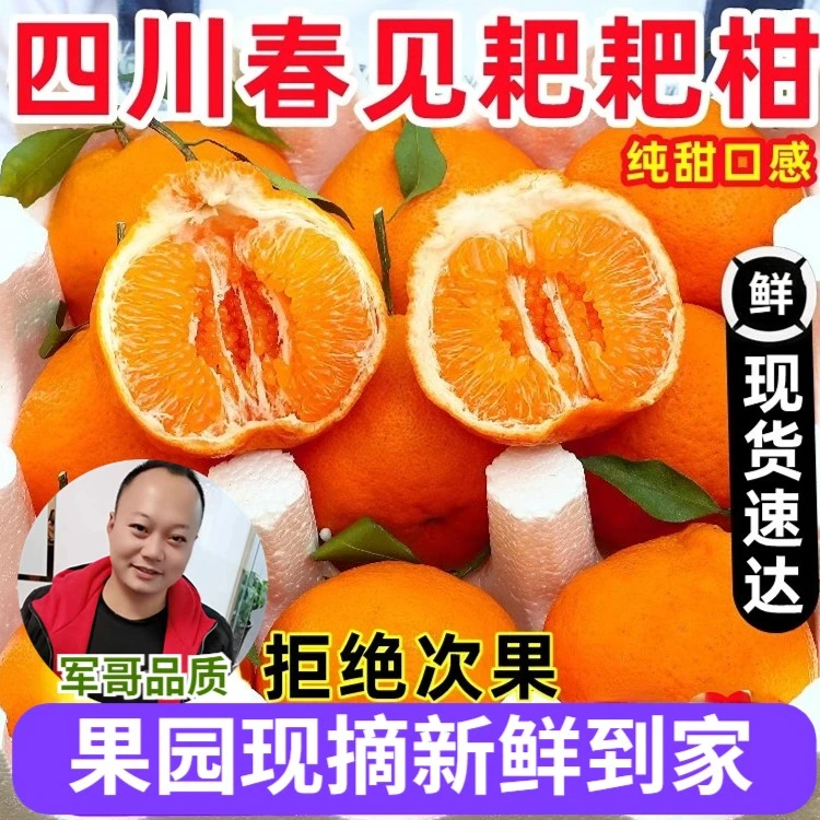 正宗四川耙耙柑四川特产春见新鲜水果果园直发眉山丑橘爆浆特大号