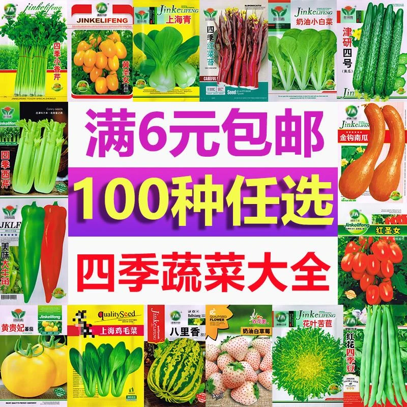 秋后菜收获四季丰富庭院萝卜韮菜菜小葱生菜冬季秋天蔬菜种子