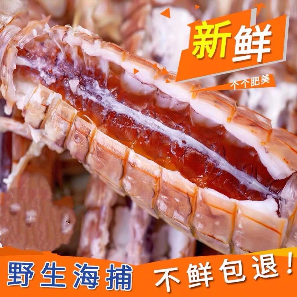 熟冻皮皮虾3斤 大母带膏 连云港发货