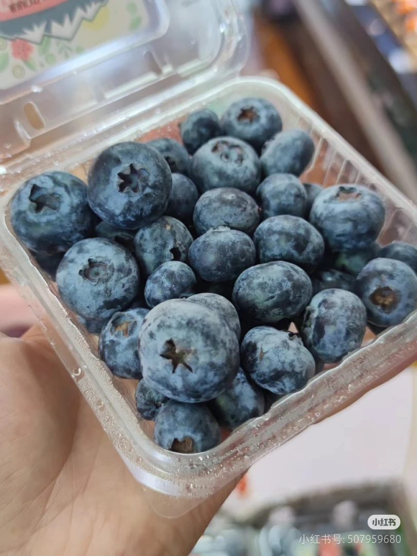 精品蓝莓3盒 22+超大蓝梅
