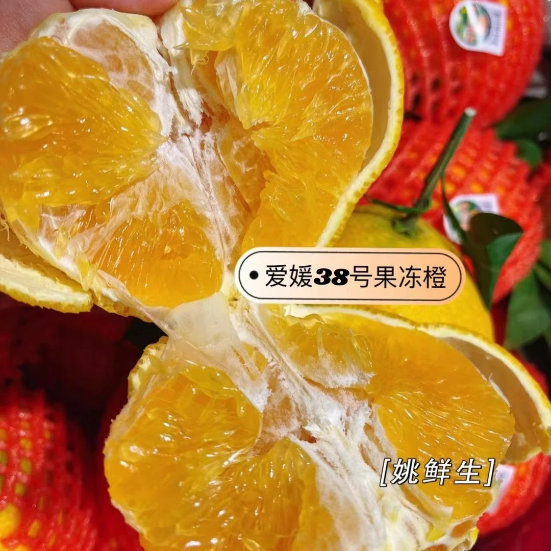 爱媛果冻橙两箱装