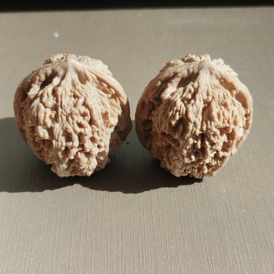 皇家正圆狮子头。小众品种骨质硬纹路好看。原生态油性足。