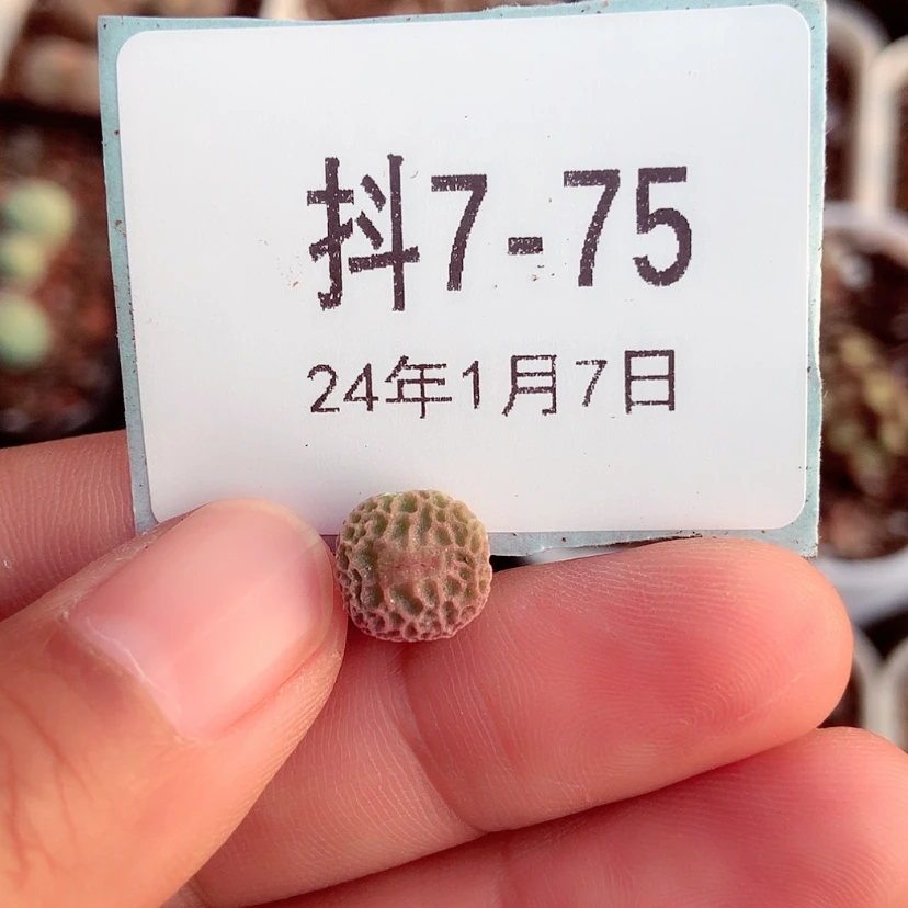 【闪购商品】?****y7-75