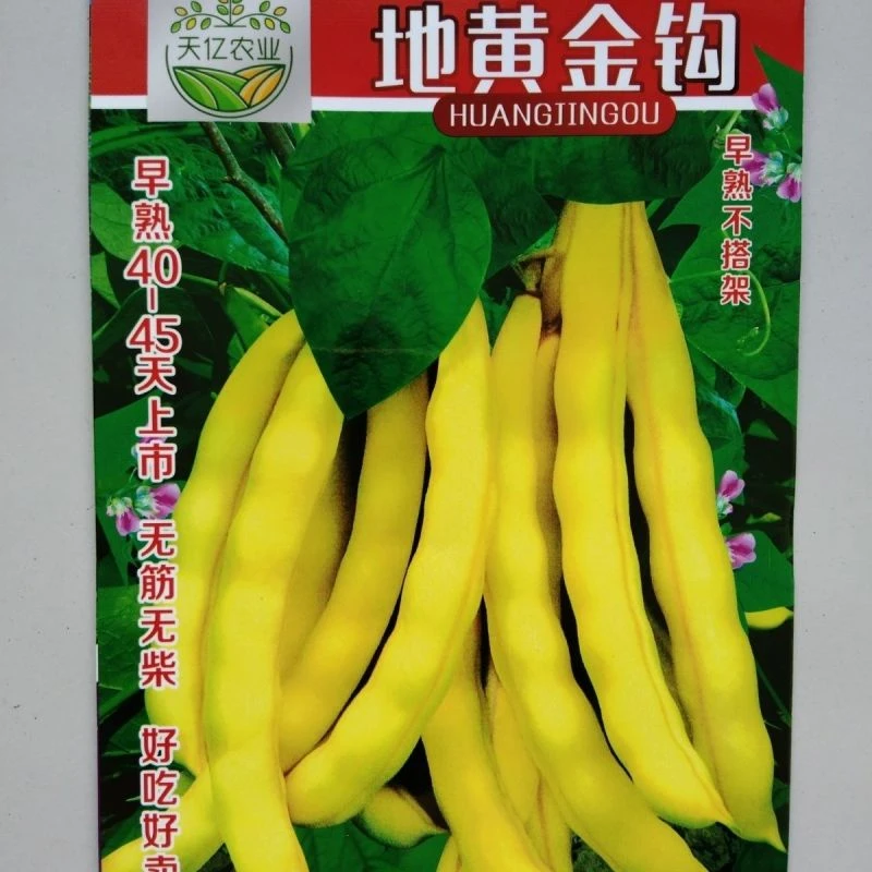 不搭架黄金钩地豆种子,早熟40天,高产无筋地豆,无筋无柴,包邮