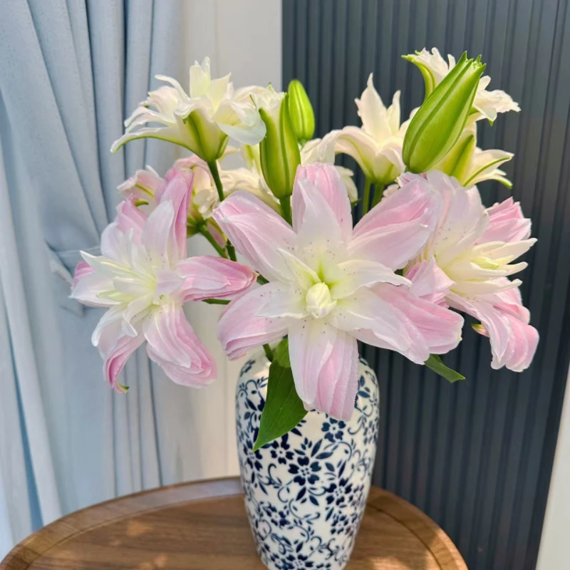 重瓣百合【莲花雅致】家居插花装饰云南鲜花贵妇的心头爱