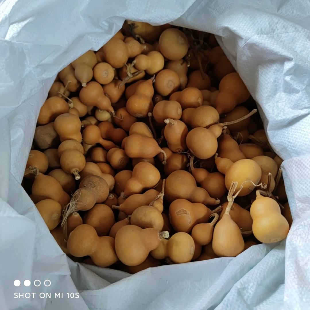 特价处理一批葫芦!九块九 十个包邮!