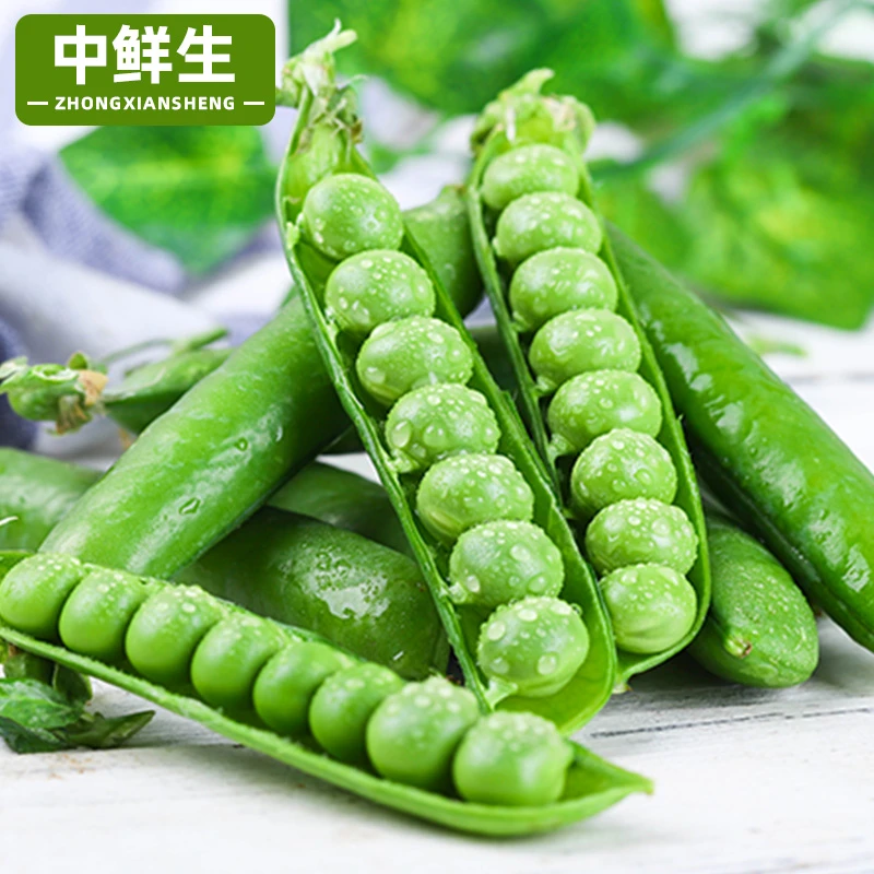 云南农家新鲜豌豆现摘蔬菜包邮高原甜豆豌豆荚新鲜农家豆荚