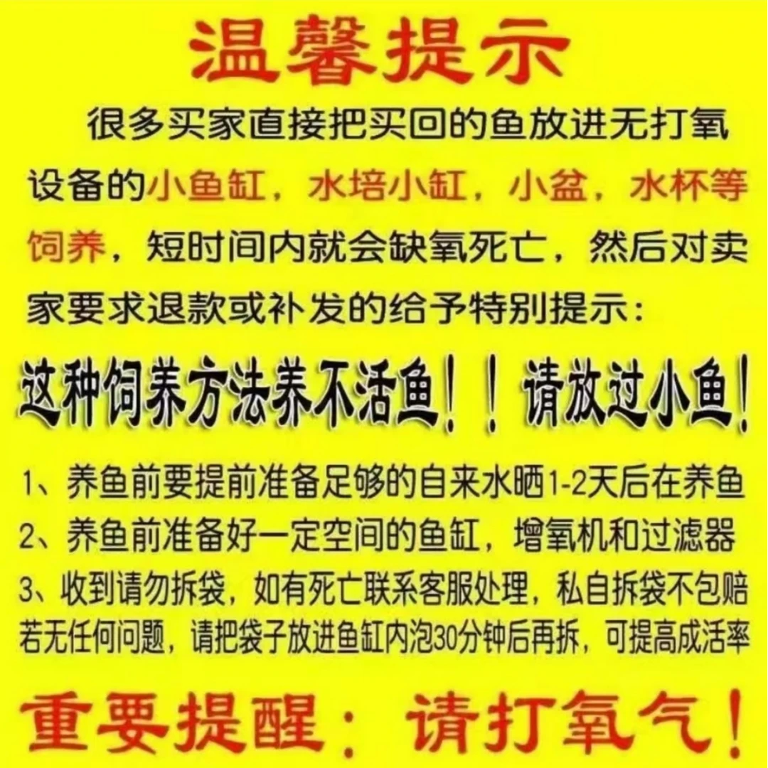 【锦鲤】5_9厘米茶鲤黄猿