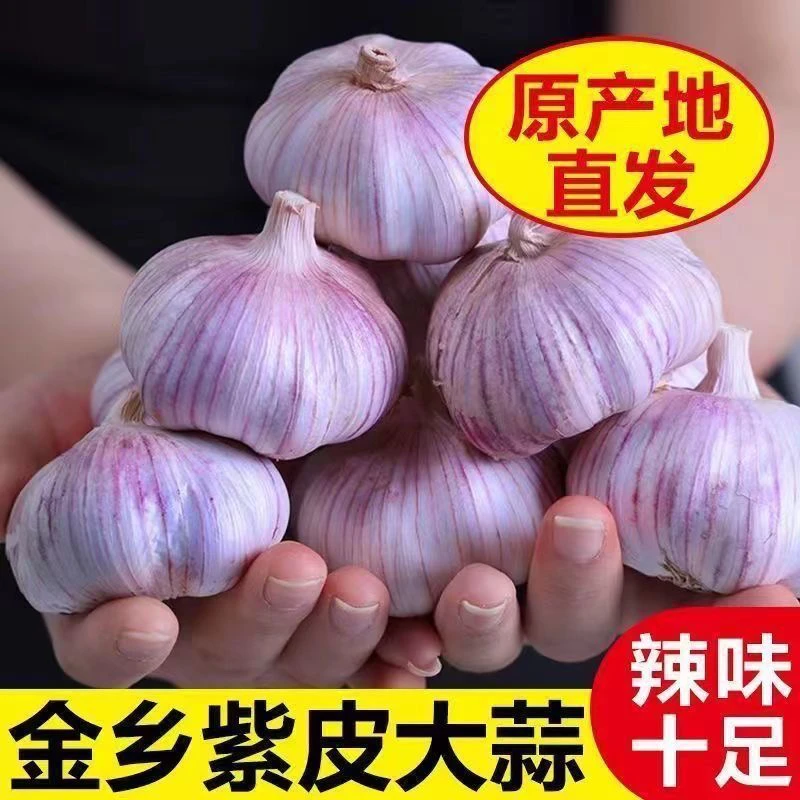 【宠粉】24年新干蒜紫皮大蒜蒜种蒜子干蒜头5斤带箱足称