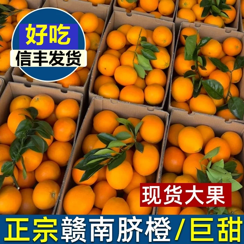 （带叶现发）正宗赣南信丰脐橙新鲜采摘直发手剥橙子5斤10斤