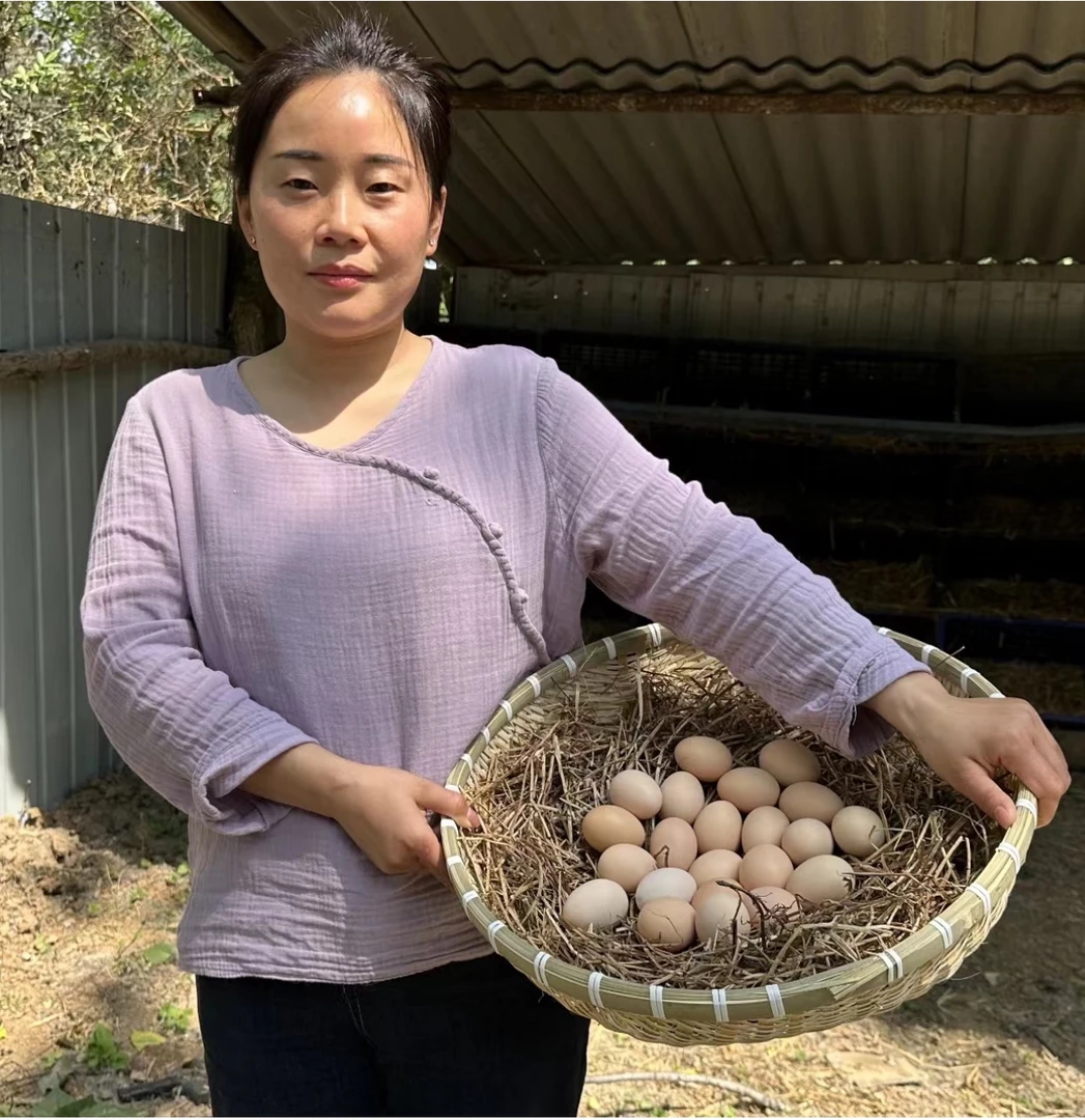 50枚散养土鸡蛋当日新鲜土鸡蛋溏心蛋营养健康/烂蛋包赔/顺丰包邮
