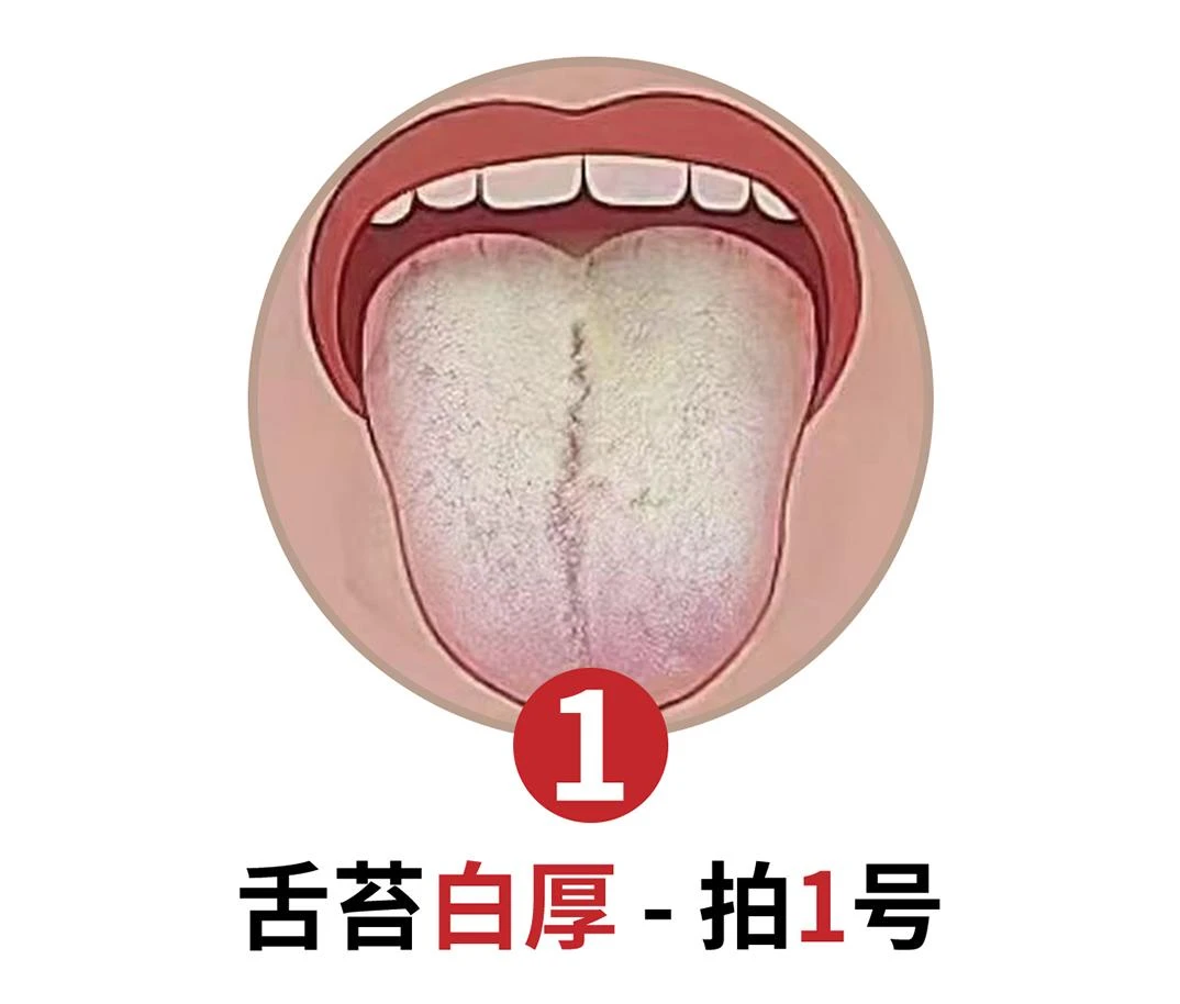 【①号】 茯苓 甘草 菊花 薏米仁 栀子 芡实 枸杞红枣等组合 S