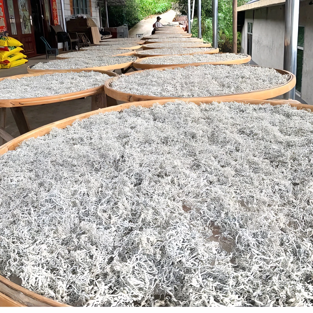 芽尖莓茶野茶核心产区 藤茶富硒营养手工调养