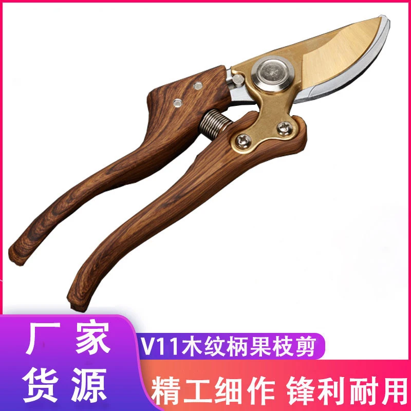 高端剪枝专用剪刀强力修枝剪刀修剪树枝剪刀剪枝专用剪刀果剪