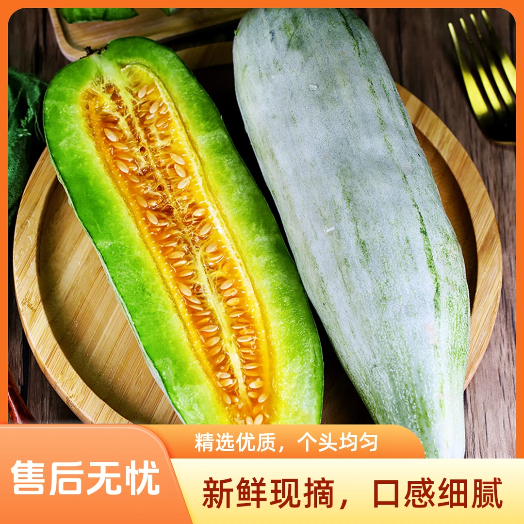【脆甜多汁】山东正宗头茬羊角蜜甜瓜新鲜采摘产地直发