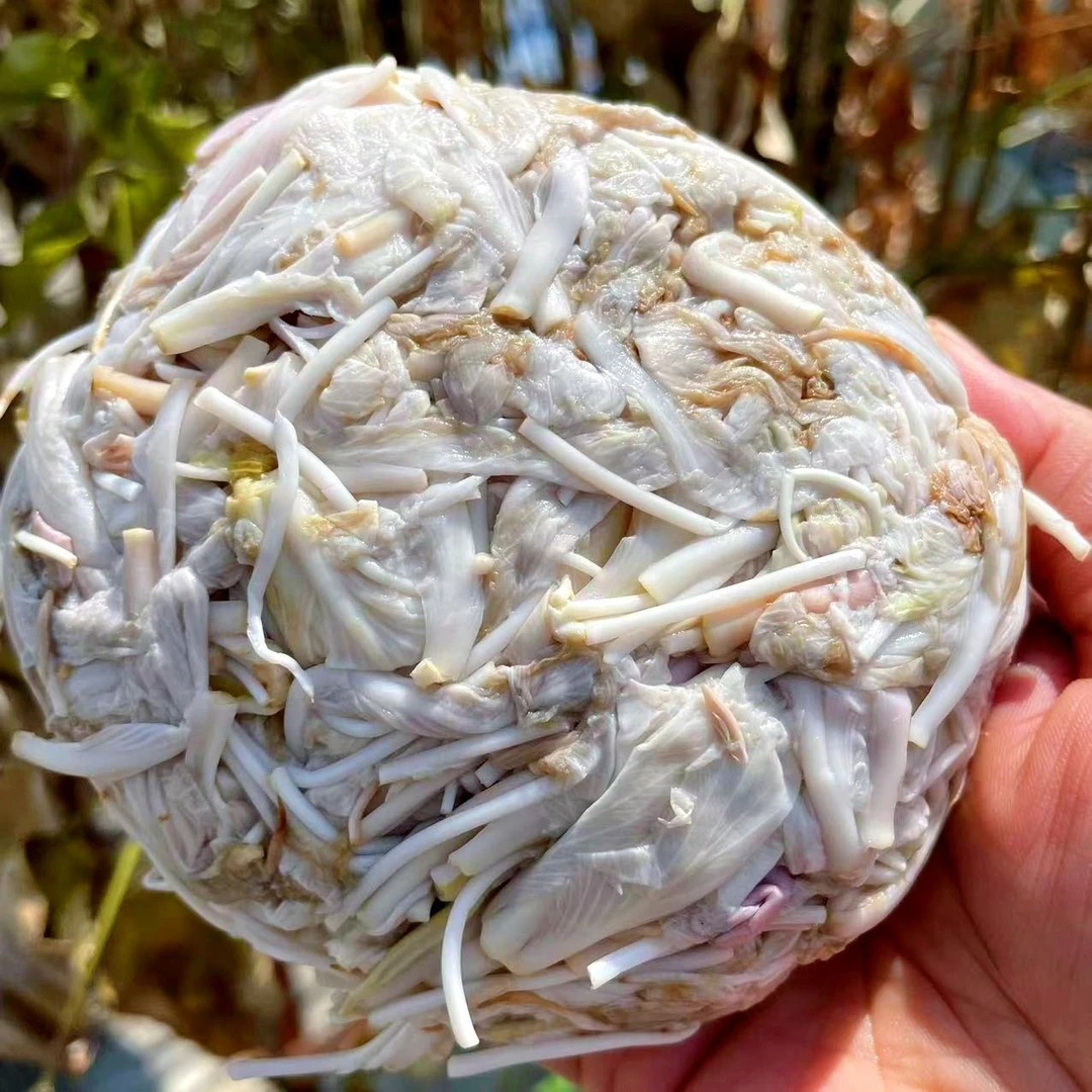 白露花云南临沧特产可食用大白花新鲜冷冻蔬菜白花凉拌袋装真空