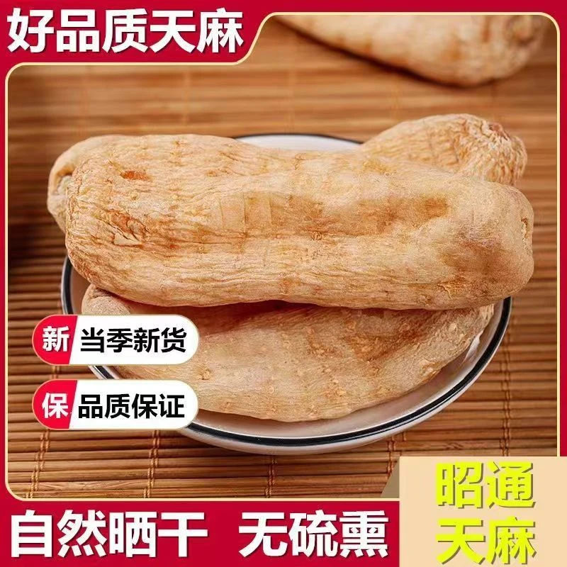 正宗云南野外生天麻大果250g干货新鲜乌麻种中药材无硫磺熏染500g