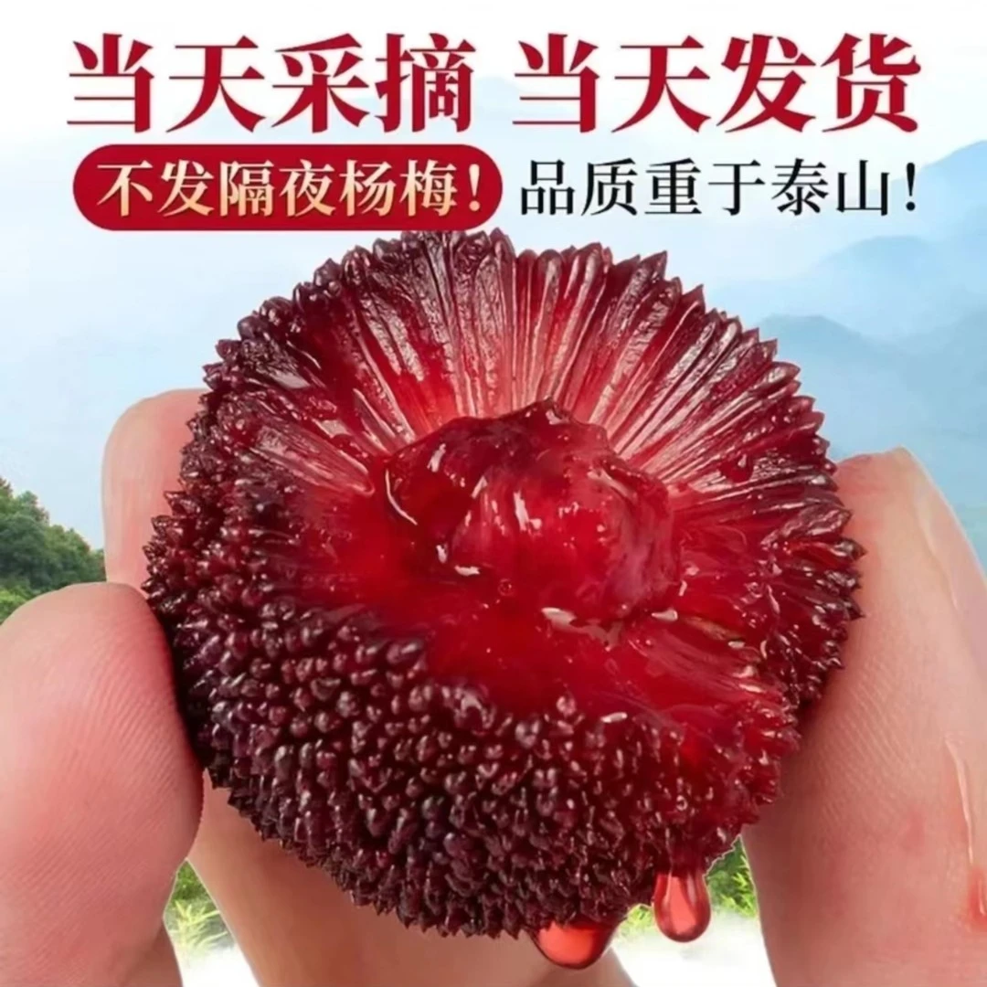 【荸荠杨梅】仙居荸荠杨梅 拍3斤送3斤新鲜现发8-12g小黑炭顺丰冷链