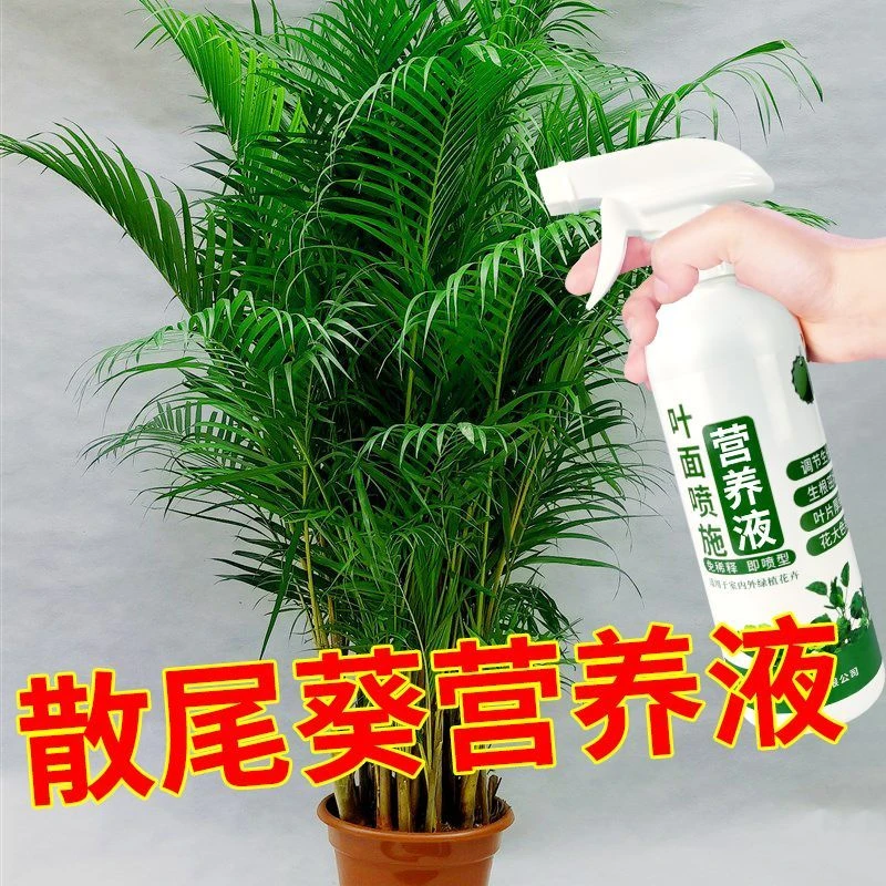 散尾葵营养液凤尾竹袖珍椰子叶面肥室内盆栽有机花肥料绿植专用肥