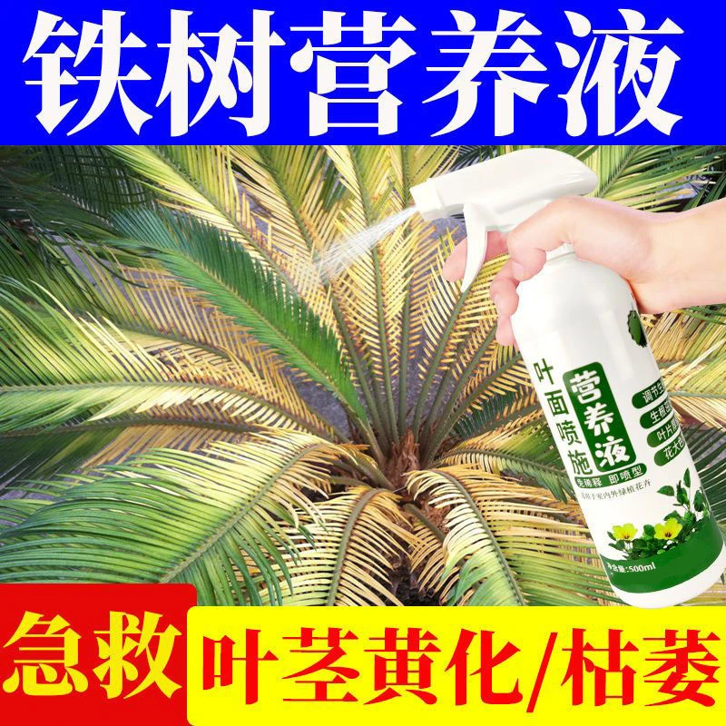 铁树盆景专用肥花肥液体喷雾营养液防黄叶促生长一喷绿铁树营养液