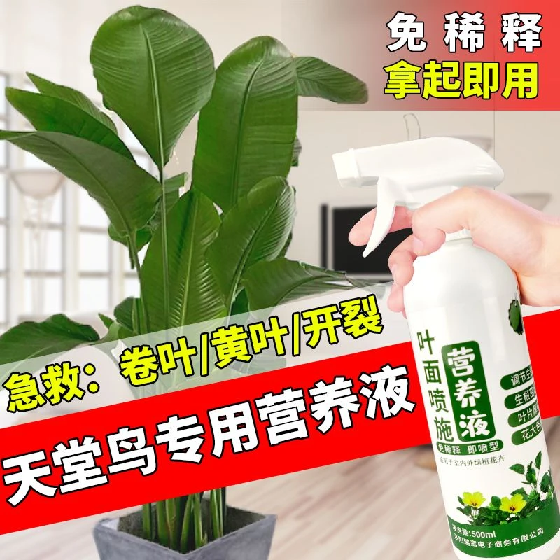 营养液植物通用型花肥天堂鸟花卉盆栽家用养花肥料免稀释营养液