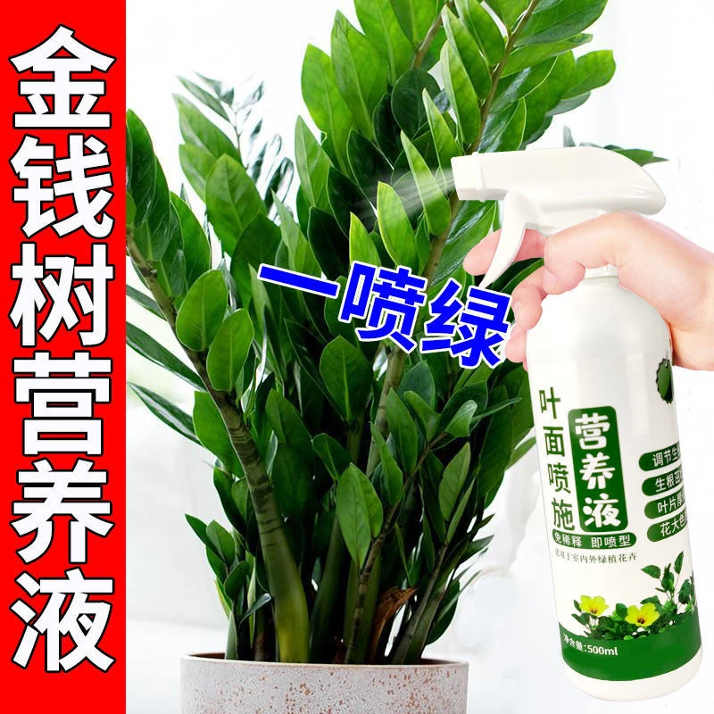 一喷绿黄叶变绿叶金钱树发财树幸福树叶面肥绿植通用营养液专用肥