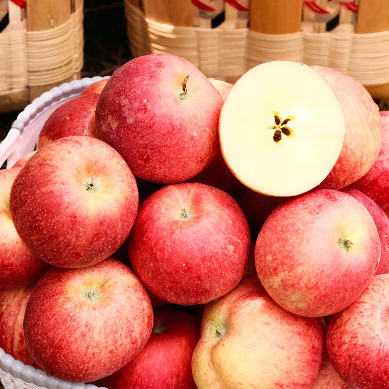昭通苹果昭通苹果当季水果苹果香甜可口多汁送礼脆甜新鲜高原红