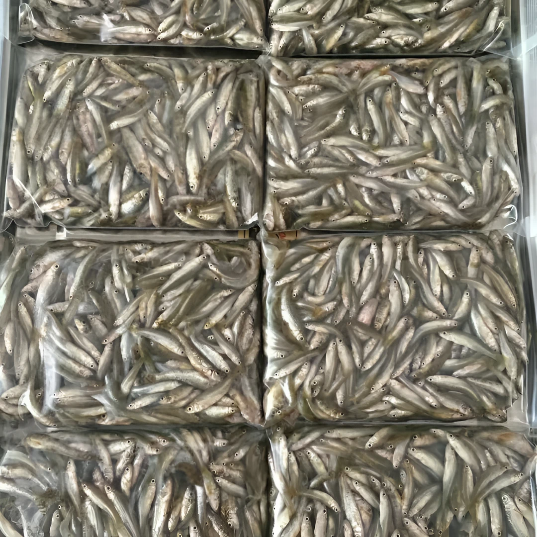 速冻饲料鱼白条鱼鲫鱼麦穗鱼泥鳅段龙鱼虎鱼魟鱼饲料鱼粮龟粮