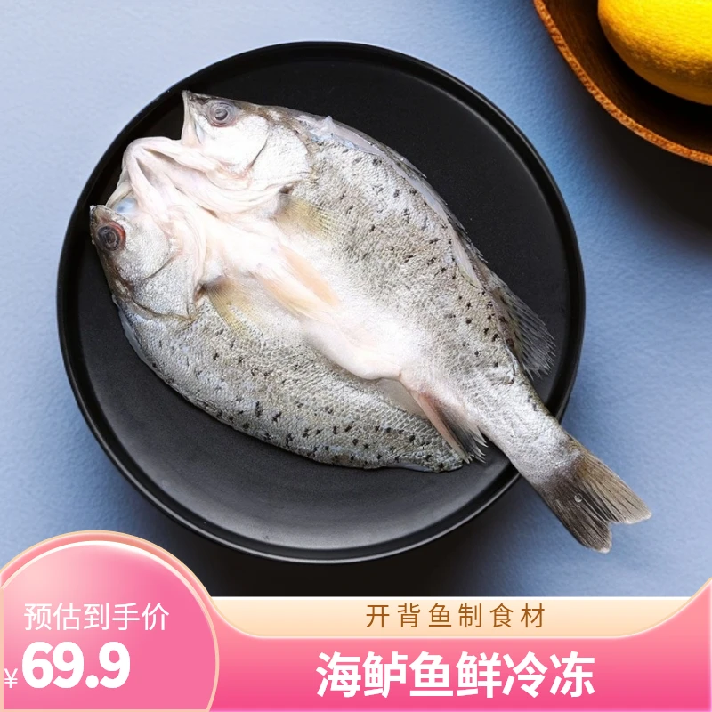 海鲈鱼开背新鲜冷冻鲜活深海鱼白蕉七星海卢鱼水产烤鱼半成品商用