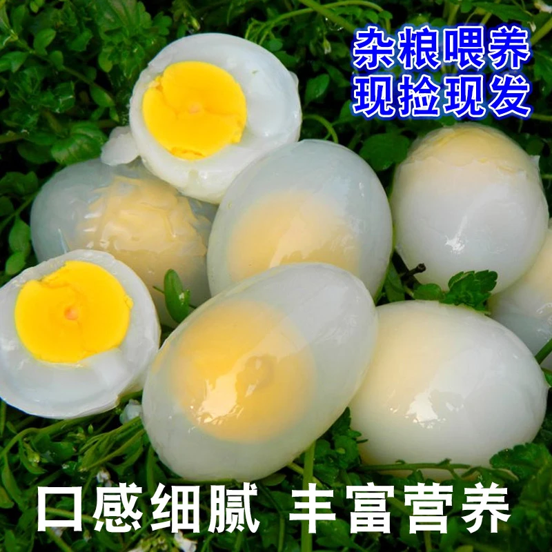正宗散养鸽子蛋新鲜鸽蛋营养价值高杂粮喂养营养孕产妇宝宝可以吃