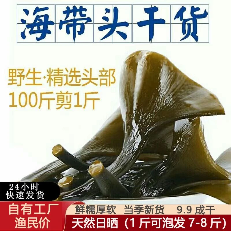 出口级霞浦天然日晒干海带头特厚海带根海带梗野生无沙海带批发