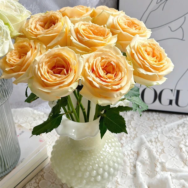 云南基地鲜花香槟郁金香花盆雪柳干花架营养土百合阳台水仙