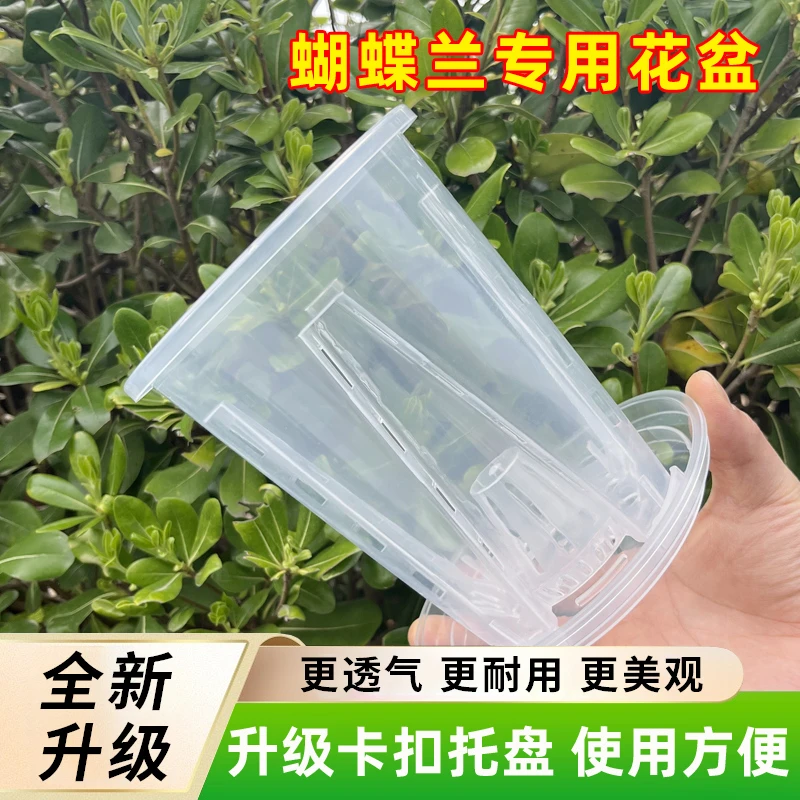 升级卡扣托盘空气柱透明兰花水苔兰花专用花盆透气盆栽青山控根盆