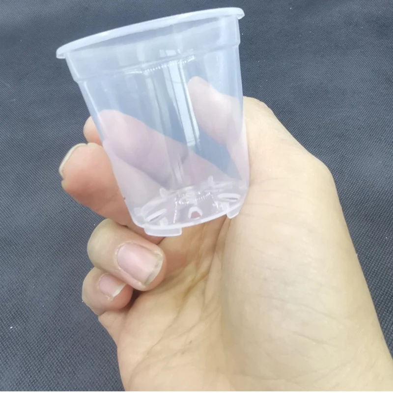 园艺高透明塑料圆花盆绿植盆栽石斛蝴蝶兰月季扦插观根种植实验盆