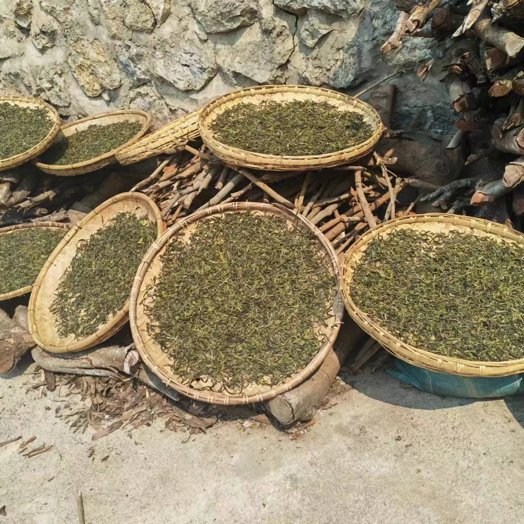 梅子箐云南大叶种普洱茶晒青散料袋装100克