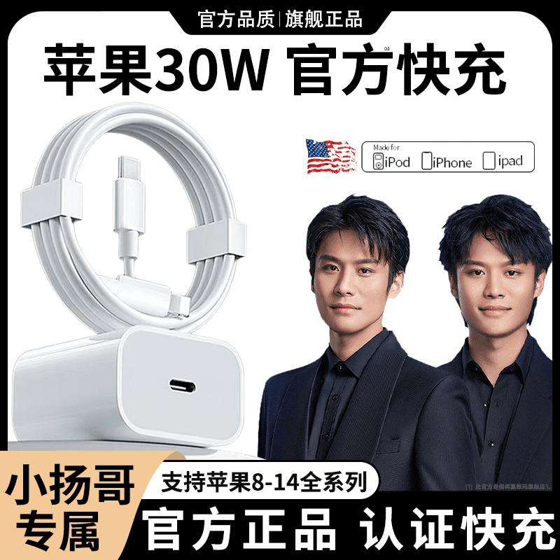 苹果30W快充正品充电器数据线PD头官方推荐13/14平板手机原装适用