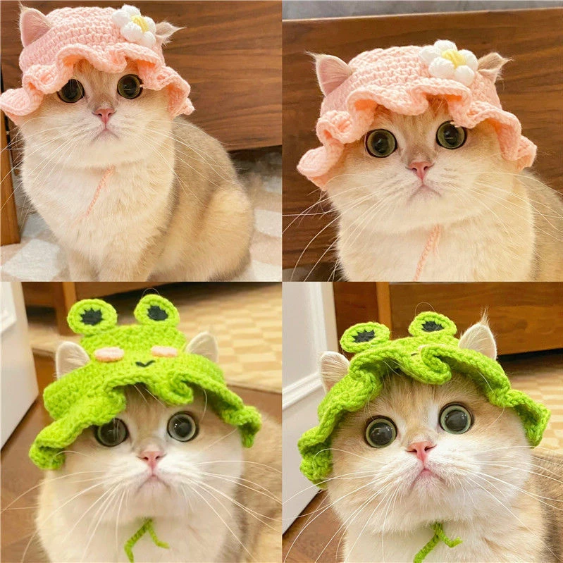 宠物变装帽泰迪狗狗青蛙帽子猫咪花朵荷叶边女仆帽宠物新年毛线帽