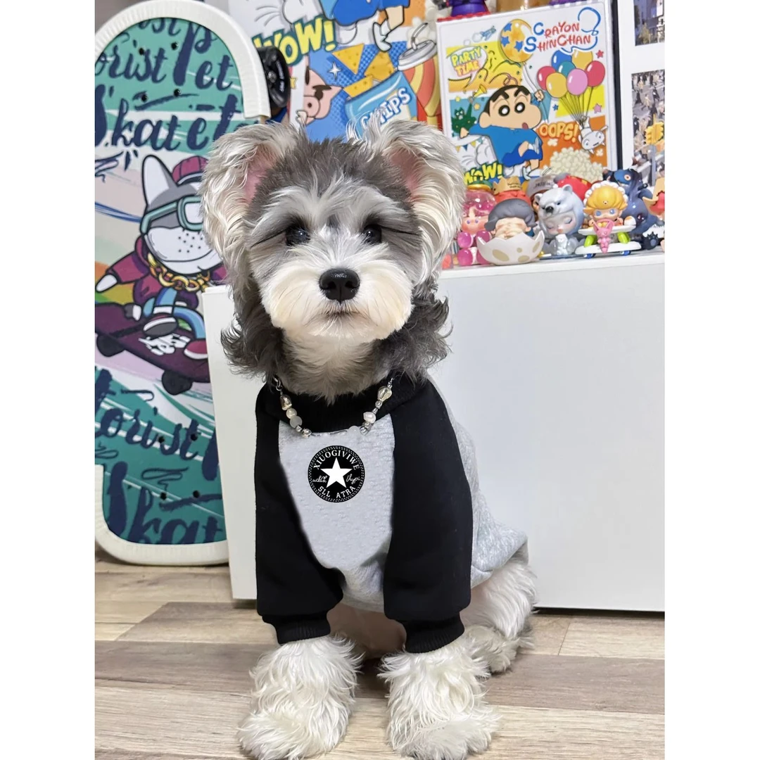 宠物猫咪狗狗春秋衣服 圆领拼色加绒加厚保暖潮牌卫衣中小大型犬