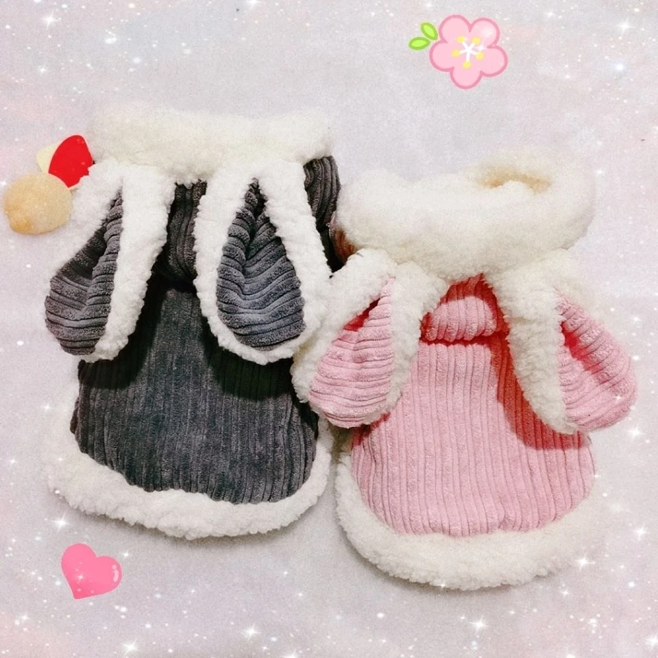 秋冬狗狗衣服猫咪衣服加绒加厚保暖春夏装新款可爱泰迪猫猫小型犬
