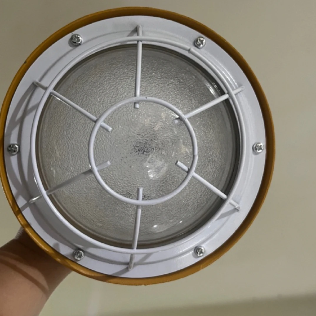 新款50W超厚防爆灯1个