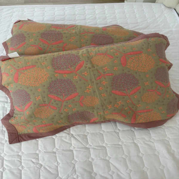 （丹丹家）柔软蒲公英枕巾棉枕绿色枕套枕头巾55*80