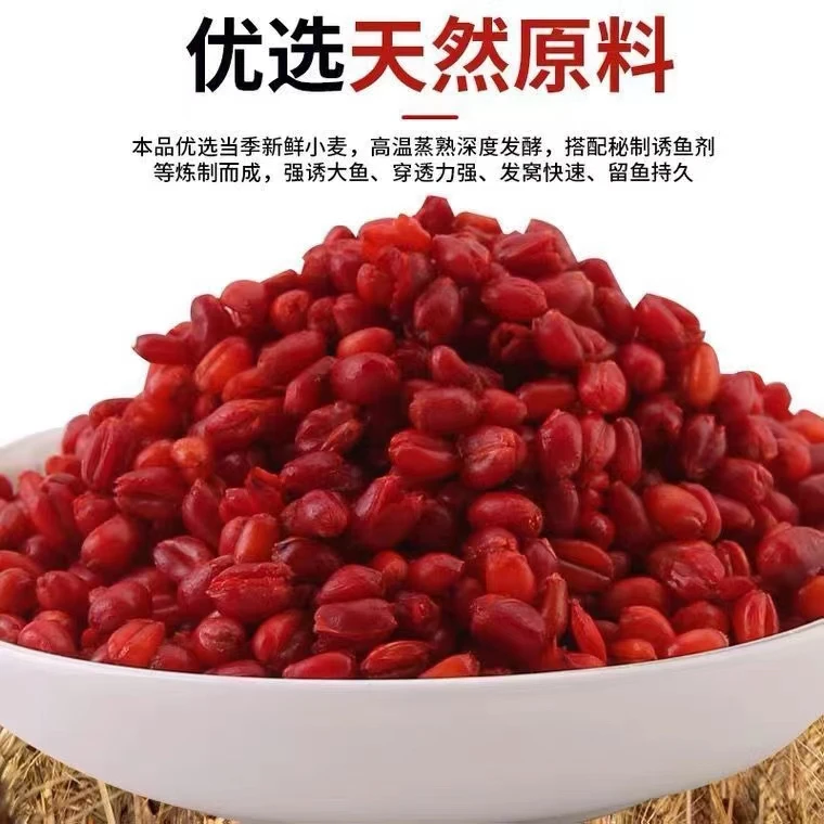 钓鱼麝香小麦粒饵料谷道香野钓鲫鱼鲤鱼草鱼四季通杀红虫颗粒钓饵