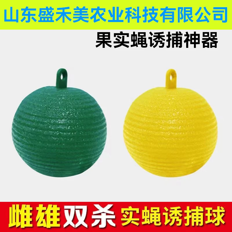 黄色丝瓜果实蝇贴诱蝇球针蜂马蜂色引诱剂果蝇诱捕器双面黄板室内