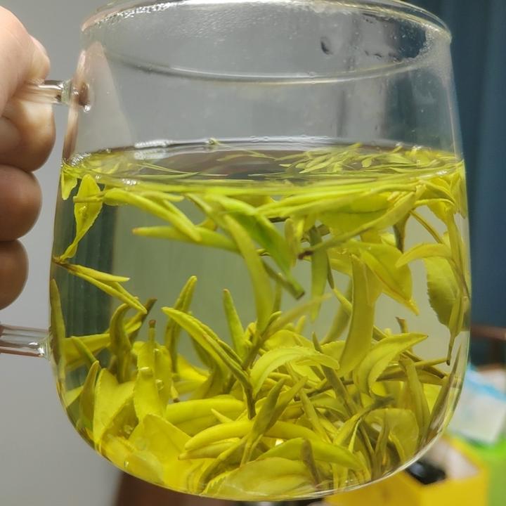 【茶之缘】2024年新茶绿茶金镶玉清香型兰花香现炒