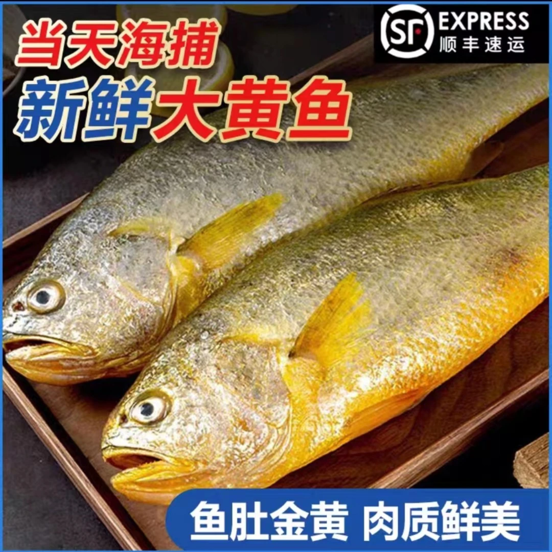 【主播福利】海捕黄花鱼 6-7两/条 新鲜速冻独立包装 黄鱼