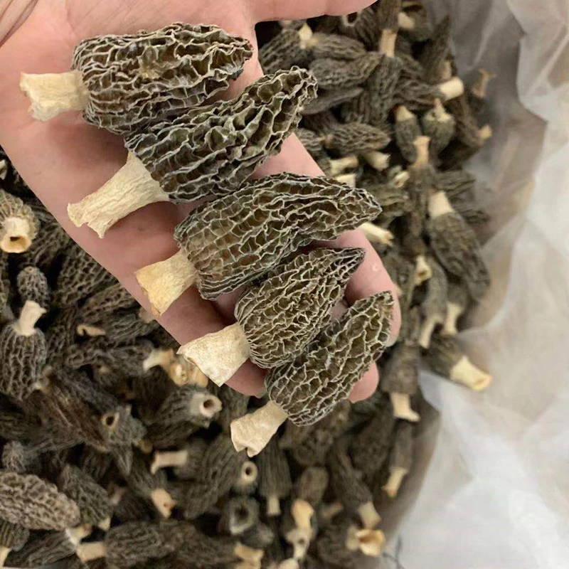 【三三】羊肚菌    250克