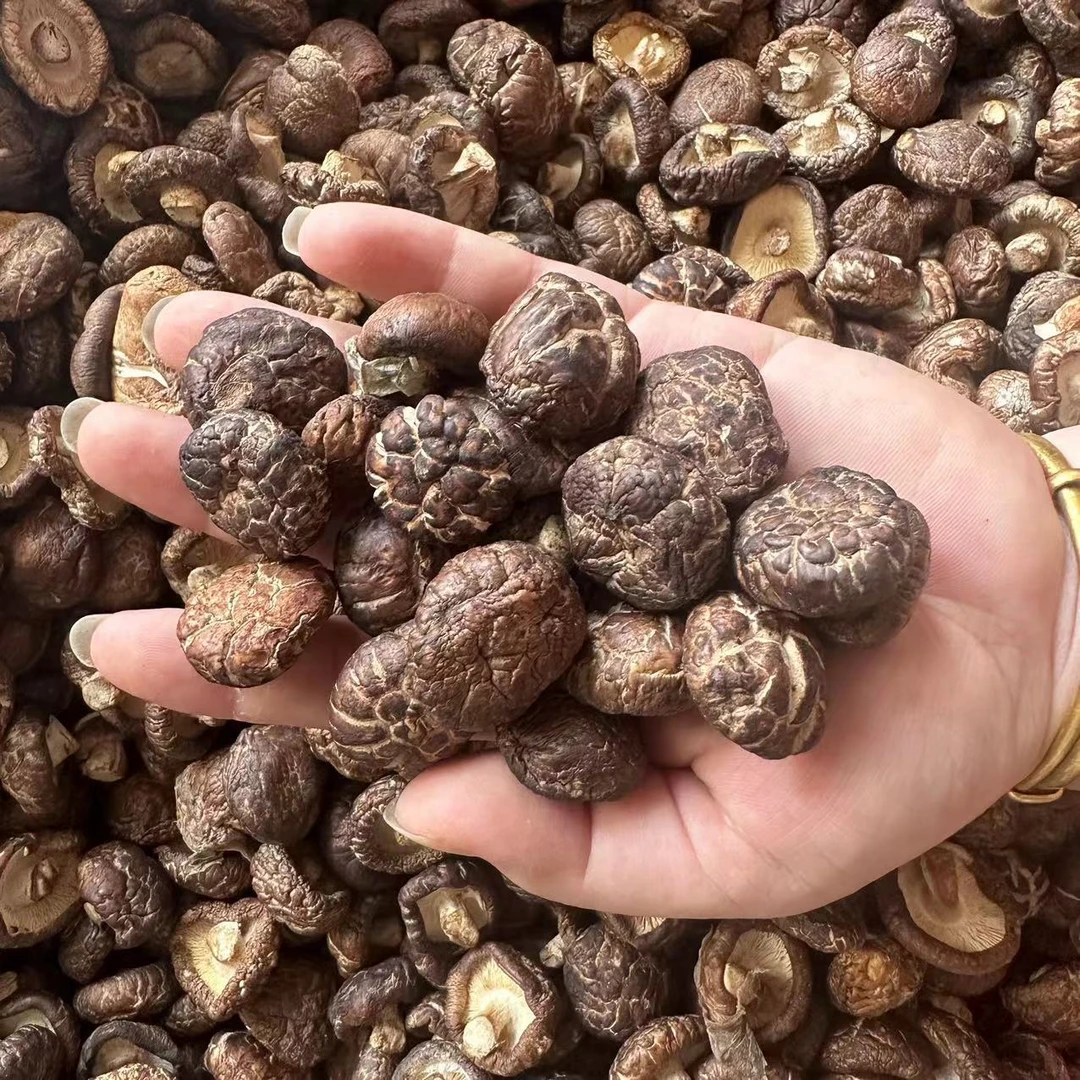 【三三】金钱菇 农产品250克