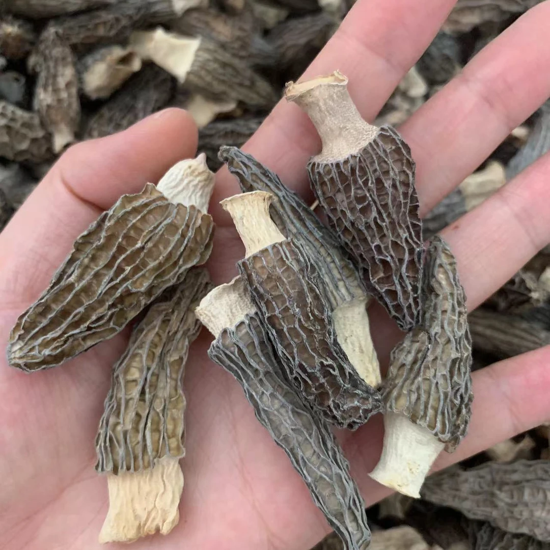 【菇尚鲜】2025云南高原干货羊肚菌250克- 500克（迷你菇）