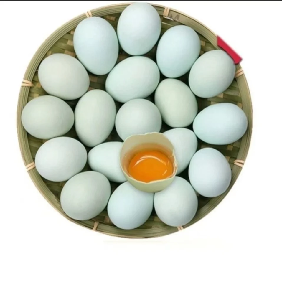 20枚绿壳【金冉农场】散养土鸡蛋