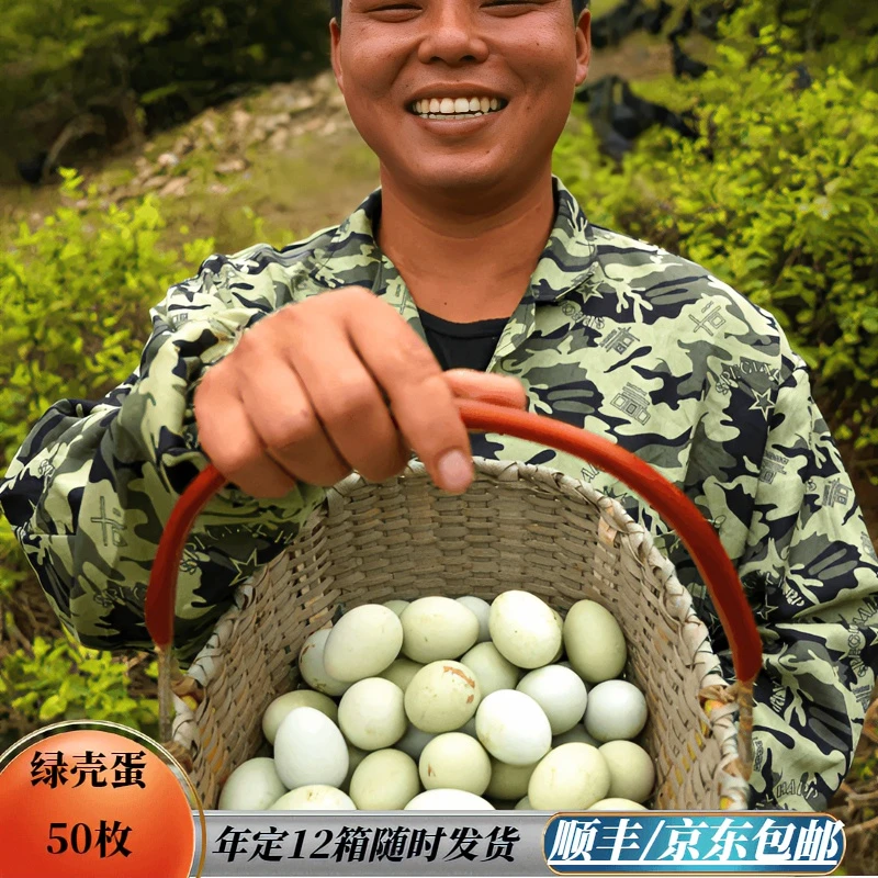 （年定12箱）夹谷山 新鲜现捡乌鸡蛋 优质健康营养农家绿色天然喂养